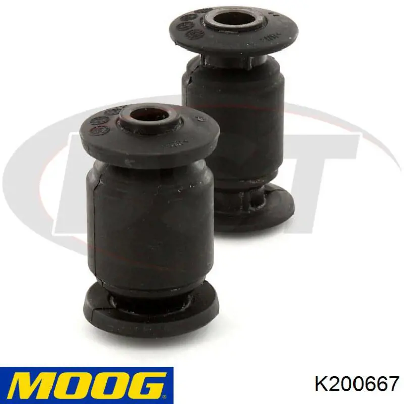  K200667 Moog
