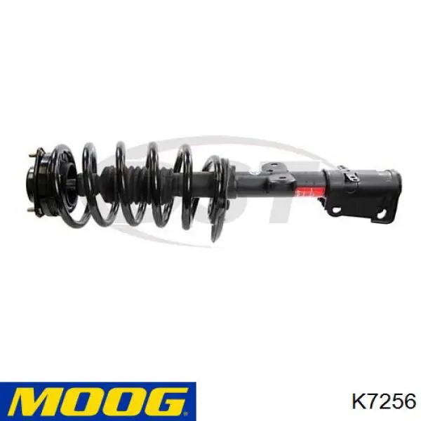  K7256 Moog