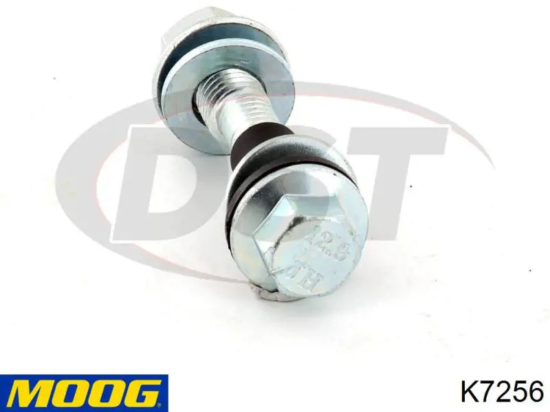 K7256 Moog 