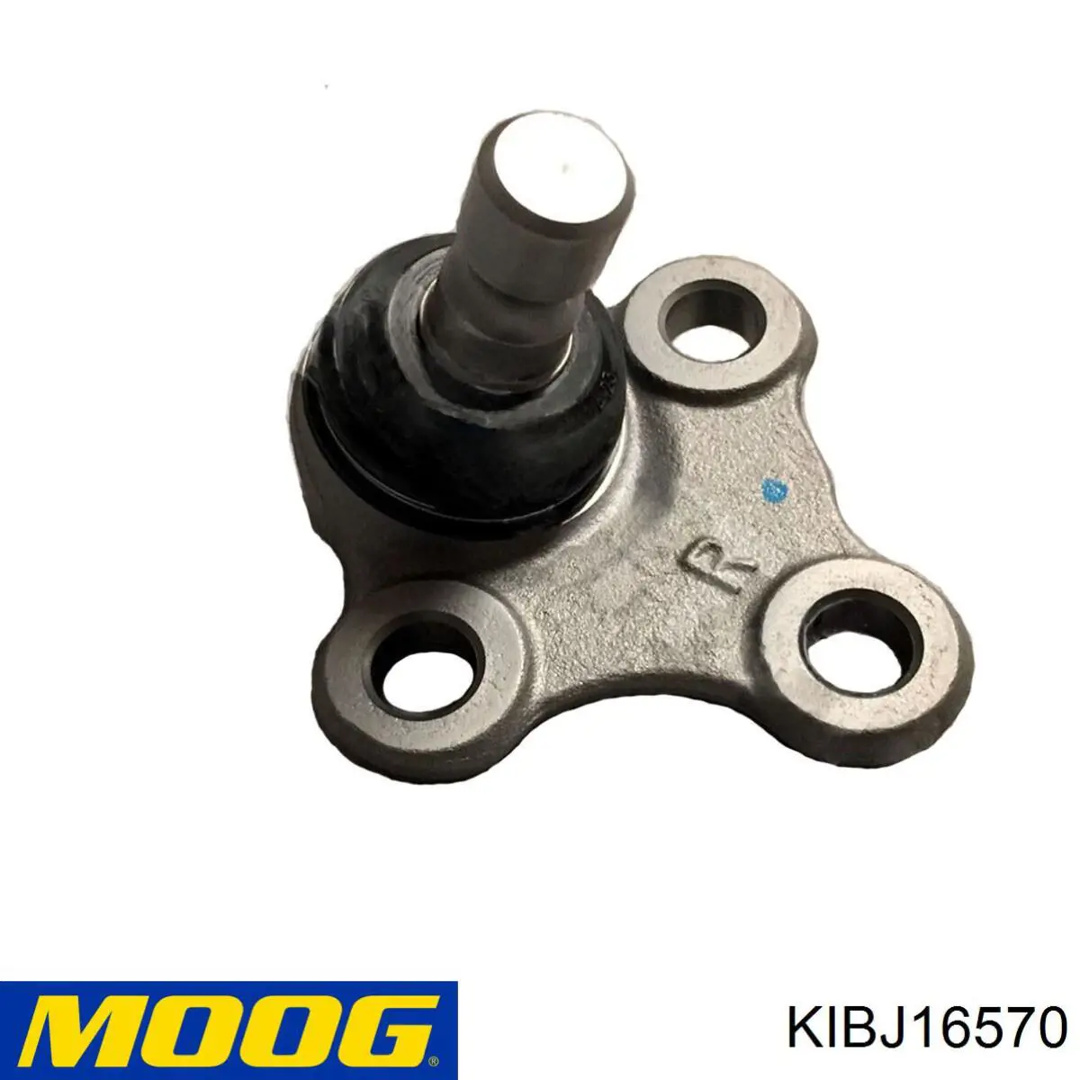 Купити KIBJ16570 Moog Кульова опора, нижня, права