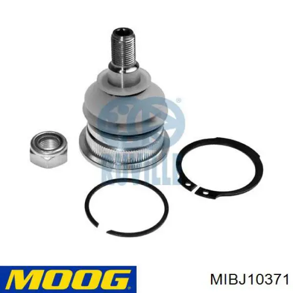 Купити MIBJ10371 Moog Кульова опора, нижня