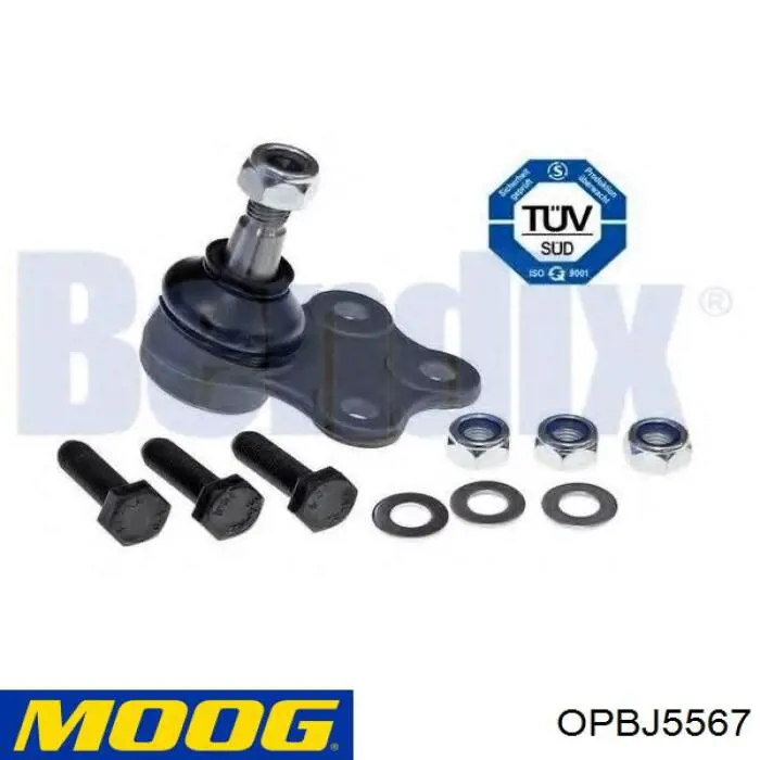 Купити OPBJ5567 Moog Кульова опора, нижня