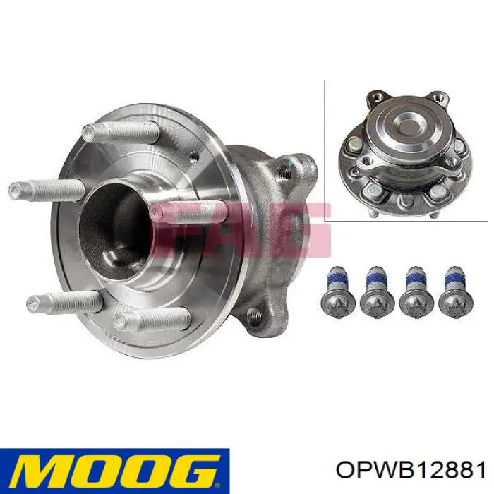 Купити OPWB12881 Moog Підшипник ступиці колеса
