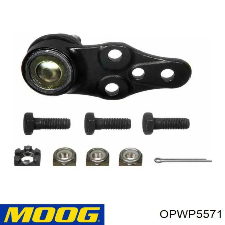 Купити OPWP5571 Moog Важіль передньої підвіски нижній, правий