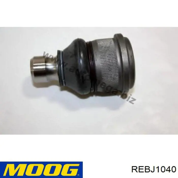 Купити REBJ1040 Moog Кульова опора, нижня