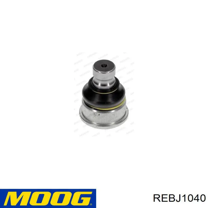 Кульова опора, нижня Moog REBJ1040 ціна, від 10.13 USD