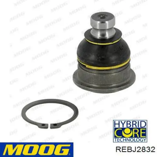 Кульова опора, нижня Moog REBJ2832 ціна, від 353.02 UAH