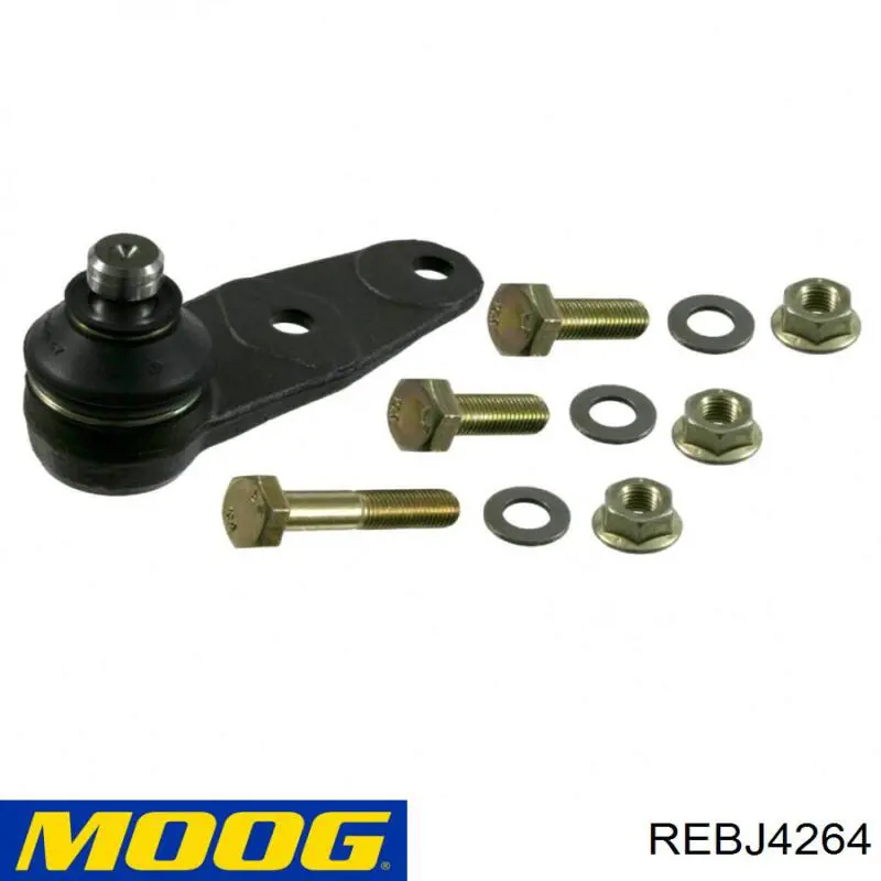 Купити REBJ4264 Moog Кульова опора, нижня