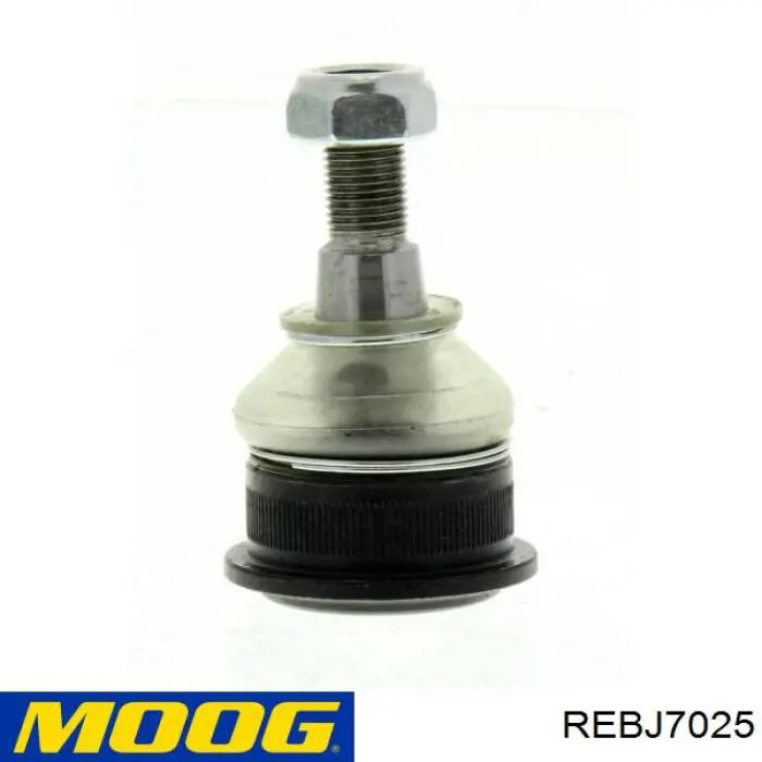 Кульова опора, нижня Moog REBJ7025 ціна, від 8.21 USD