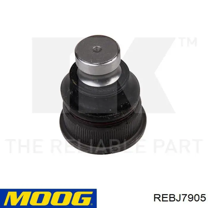 Купити REBJ7905 Moog Кульова опора, нижня