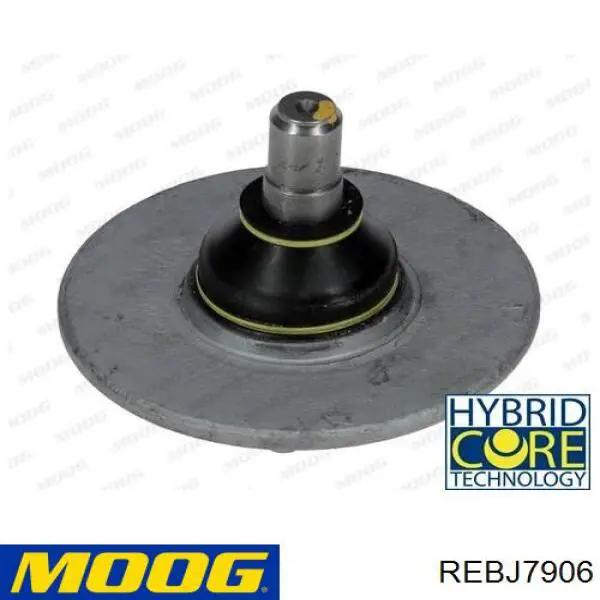 REBJ7906 Moog Кульова опора, верхня