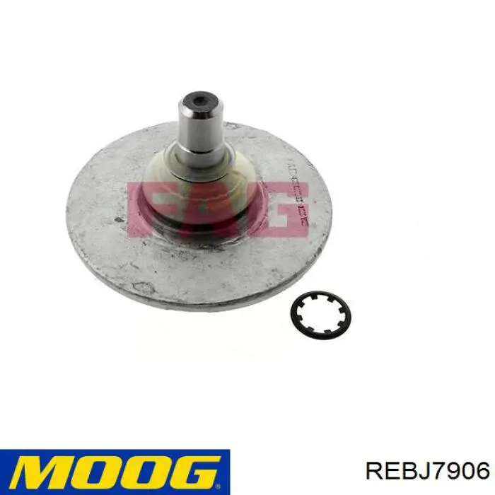 Кульова опора, верхня Moog REBJ7906 ціна, від 15.34 USD