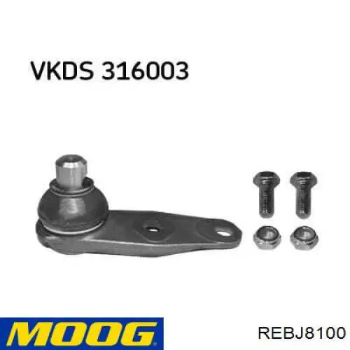 Кульова опора, нижня REBJ8100 Moog