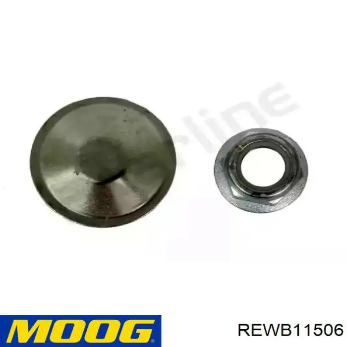 Задні дискові гальма Moog REWB11506 ціна, від 26.86 USD