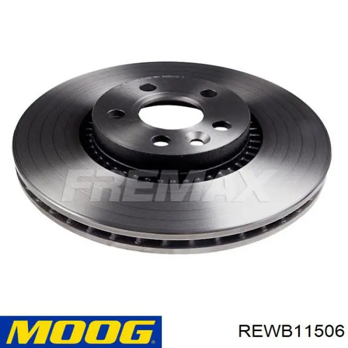 REWB11506 Moog Дискові гальма