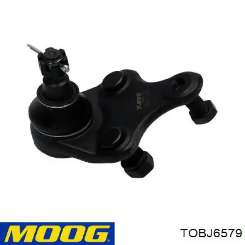 Купити TOBJ6579 Moog Кульова опора, нижня