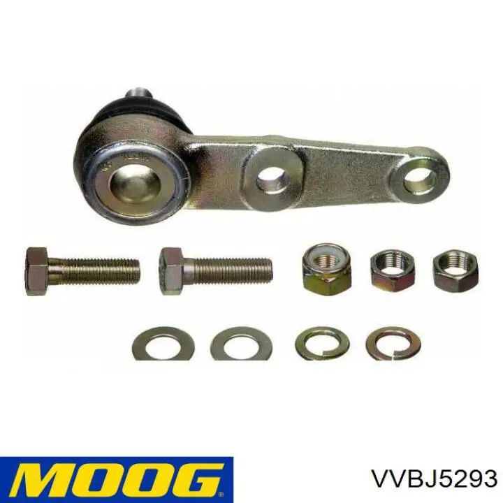 Купити VVBJ5293 Moog Кульова опора, нижня, права