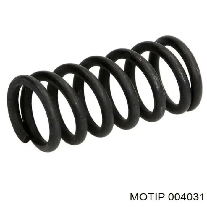 004031 Motip 
