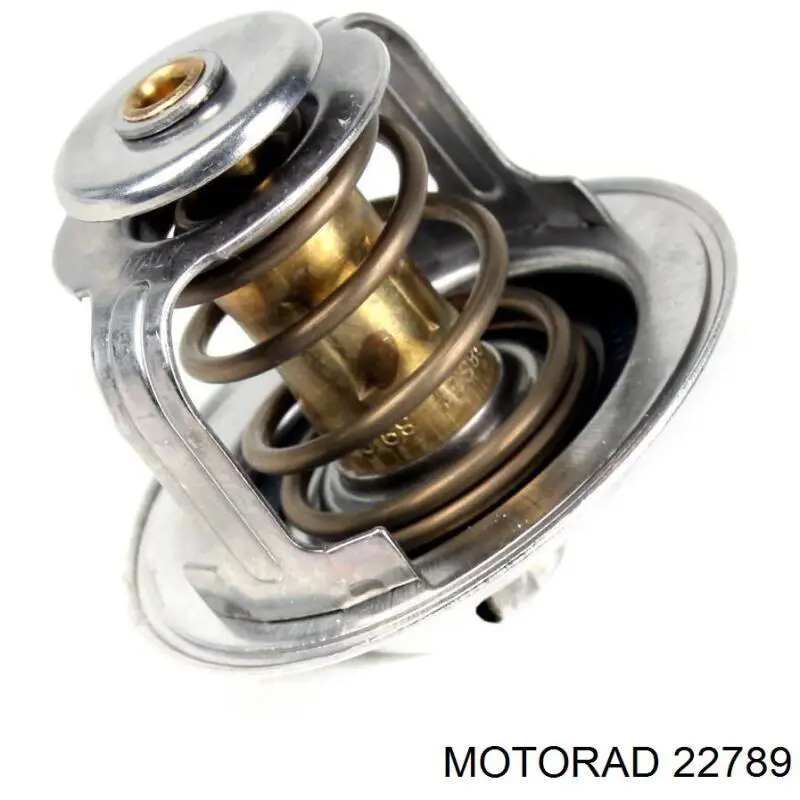 Термостат 22789 Motorad