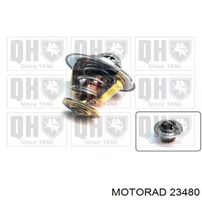Купити 23480 Motorad Термостат в корпусі