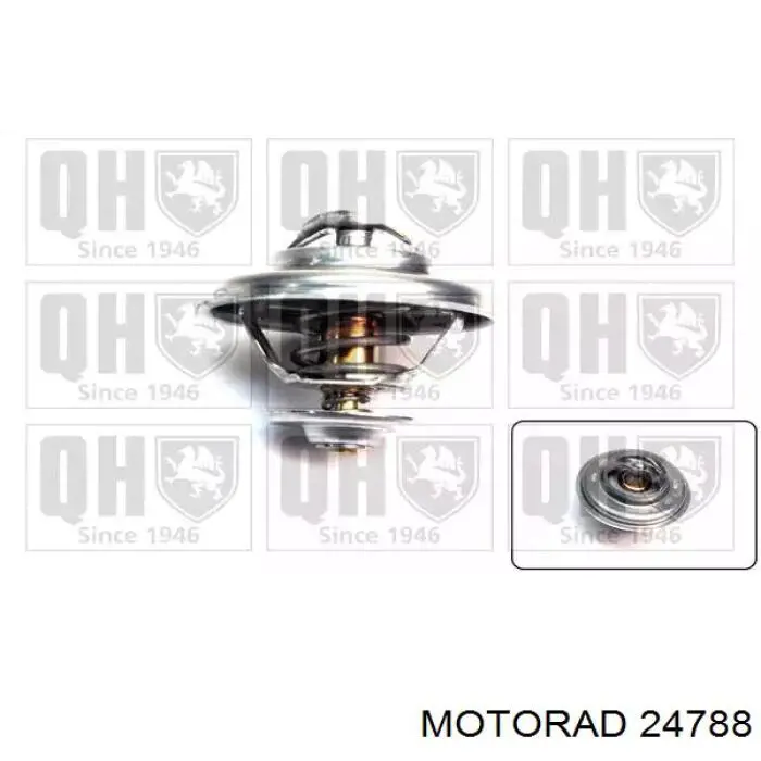 Термостат в зборі Motorad 24788