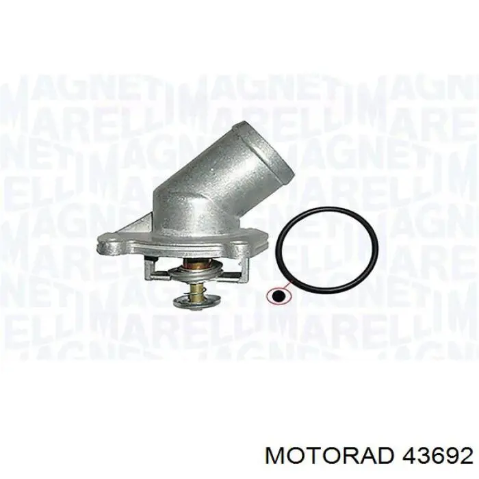 43692 Motorad Авто термостат
