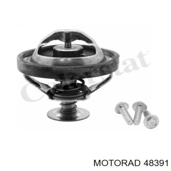 Термостат 448990D Borg-Warner