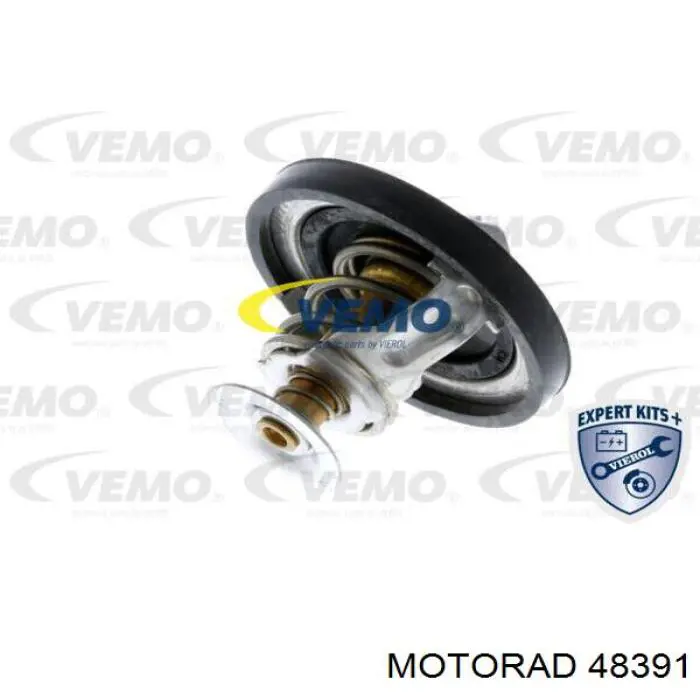 Термостат в зборі Borg-Warner 448990D