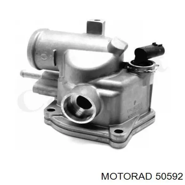 50592 Motorad термостат