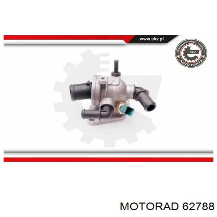 Термостат 62788 Motorad
