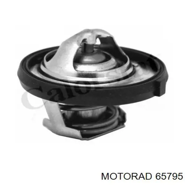 65795 Motorad 