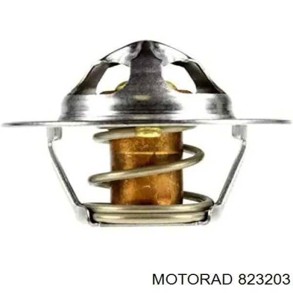  Motorad 823203 ціна, від 39.45 USD