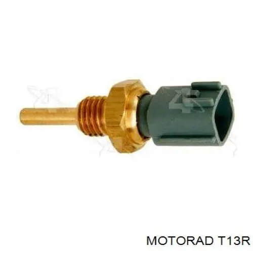 T13R Motorad Кришка / пробка радіатора