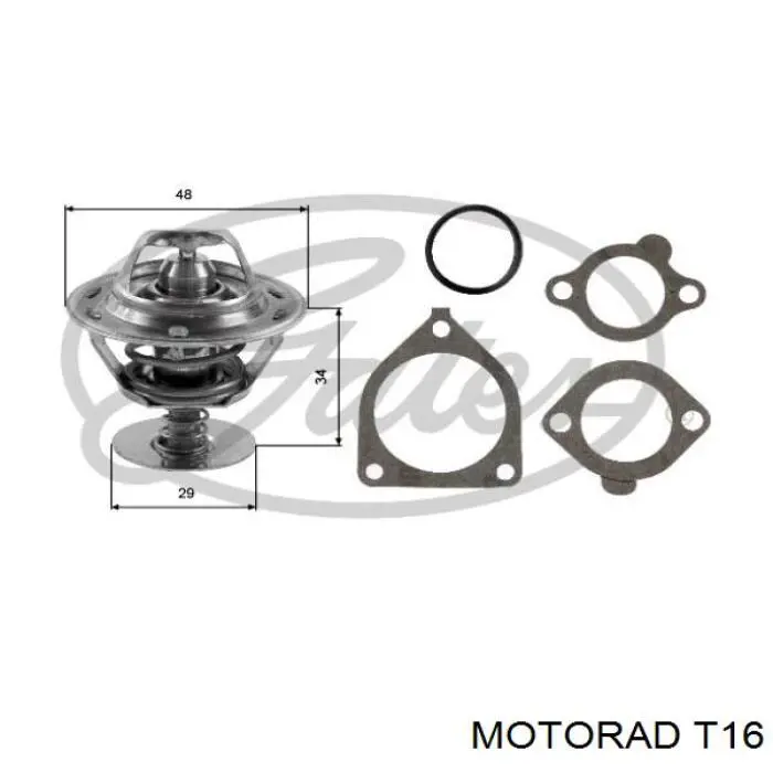T16 Motorad кришка/пробка радіатора
