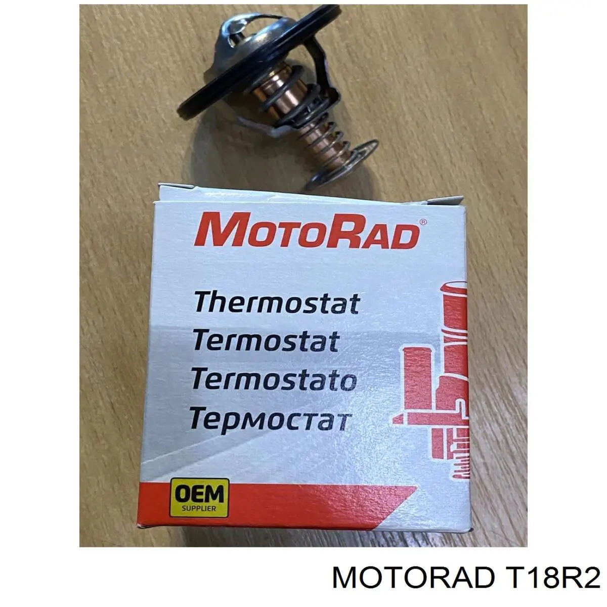  T18R2 Motorad