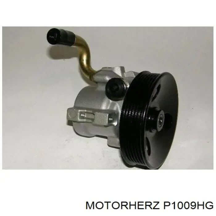 Насос ГПК Motorherz P1009HG ціна, від 84.65 USD