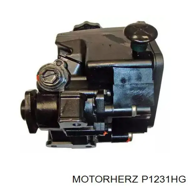 Купити P1231HG Motorherz Насос гідравліки