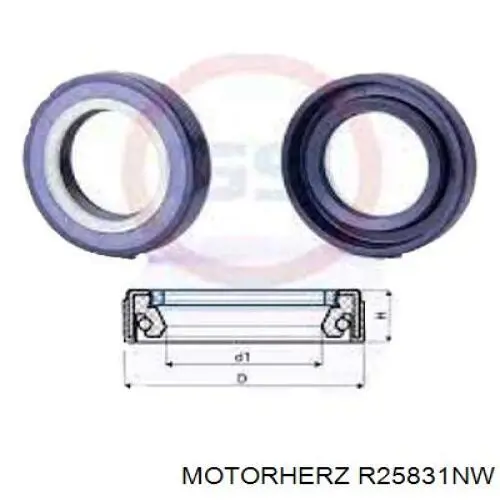 Купити R25831NW Motorherz 