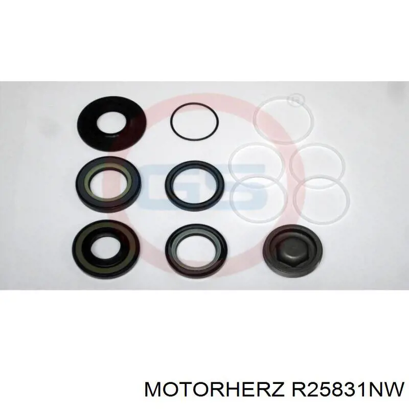 R25831NW Motorherz