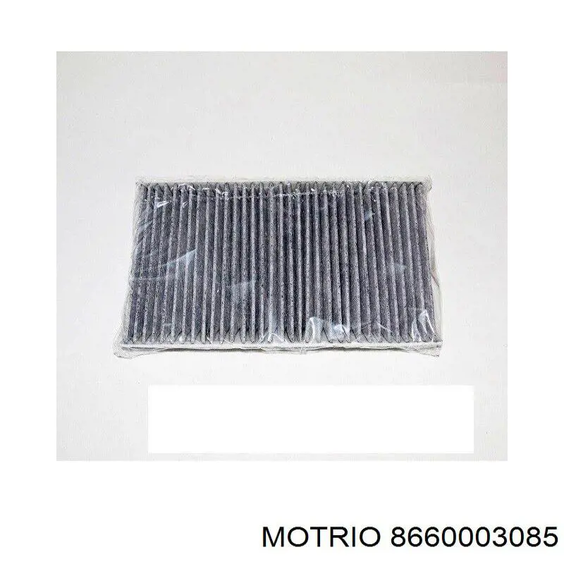 8660003085 Motrio Внутрішньосалонний фільтр