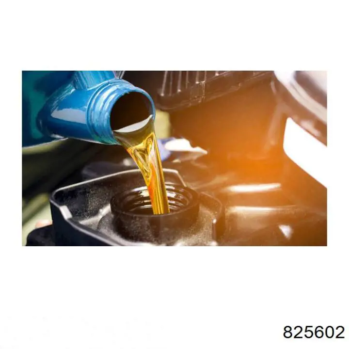 825602 Motul масло моторне