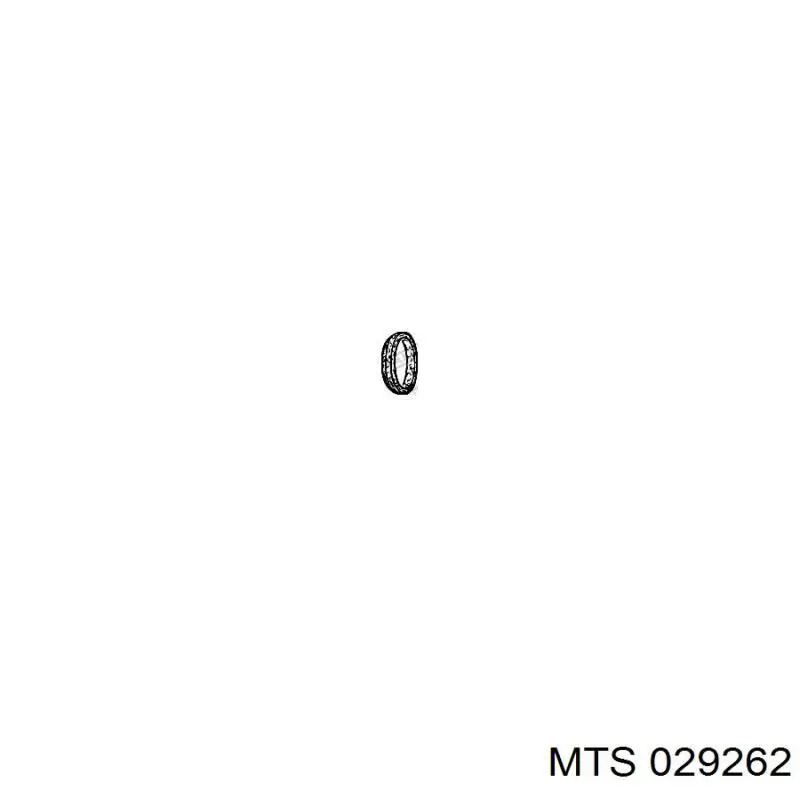 029262 MTS кільце приймальної труби глушника