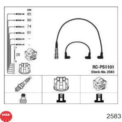  RCPS1101 NGK