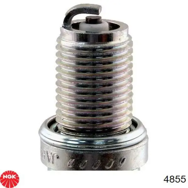 Свічки NGK 4855