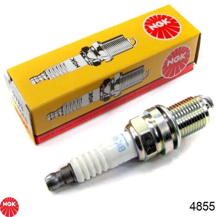 Свічки запалювання 4855 NGK