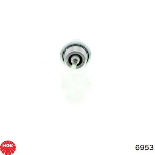 Свічки запалювання 6953 NGK