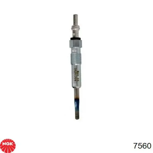 Свічки запалювання NGK 7560
