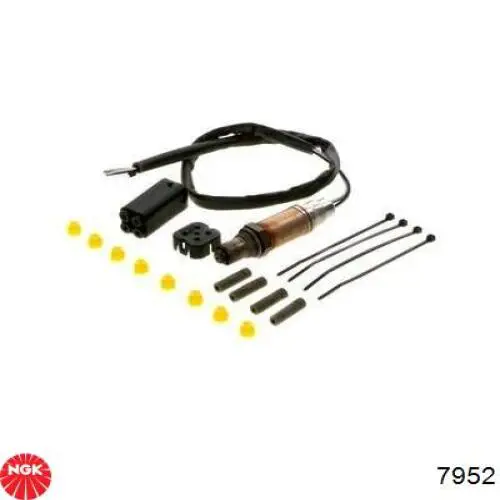 Лямбдазонд, датчик кисню до каталізатора NGK 7952 ціна, від 56.75 USD