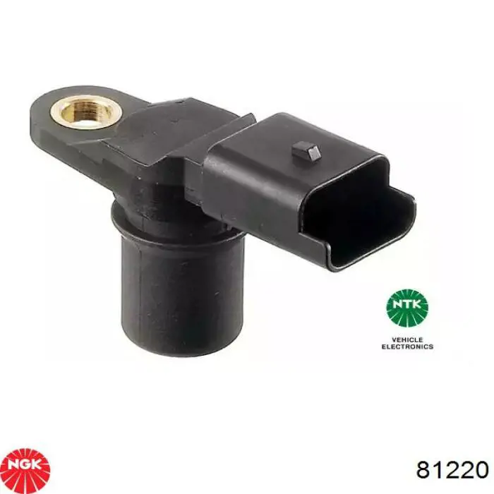 Купити 81220 NGK ДПРВ