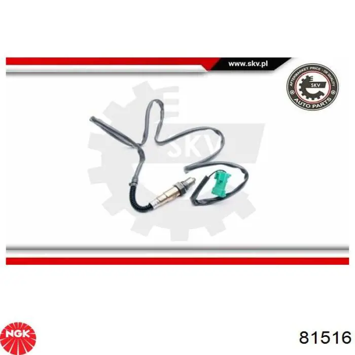 Датчик швидкості NGK 81516 ціна, від 16.45 USD